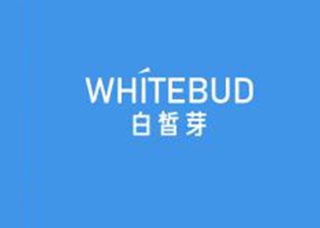 白皙芽 WHITEBUD