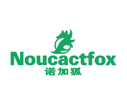 诺加狐 NOUCACTFOX