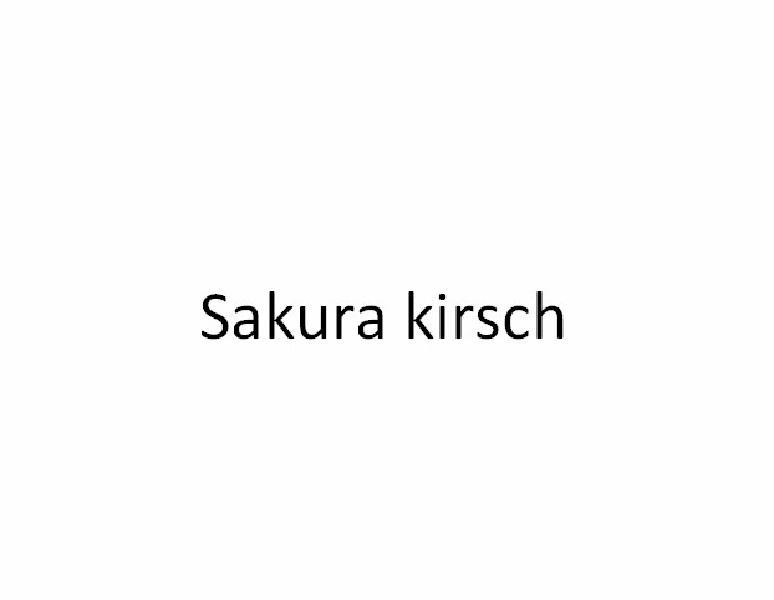 SAKURA KIRSCH
