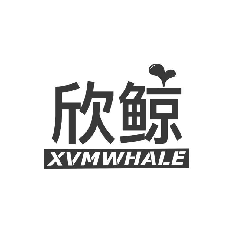 欣鲸  XVMWHALE