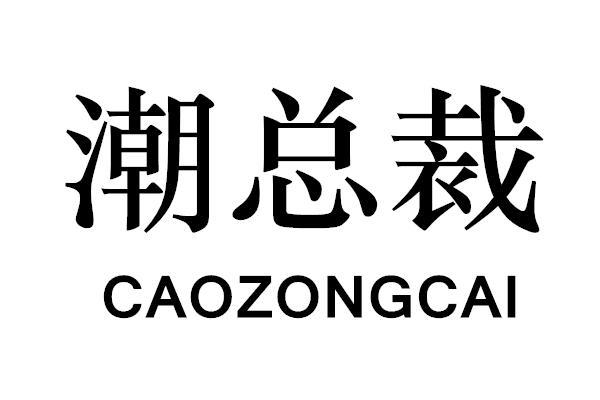 潮总裁 CAO ZONG CAI