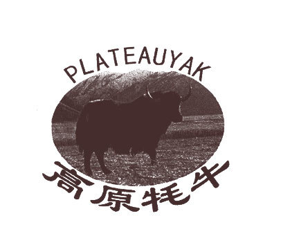 高原牦牛 PLATEAUYAK
