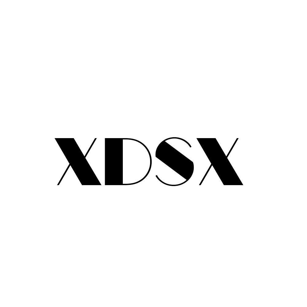 XDSX