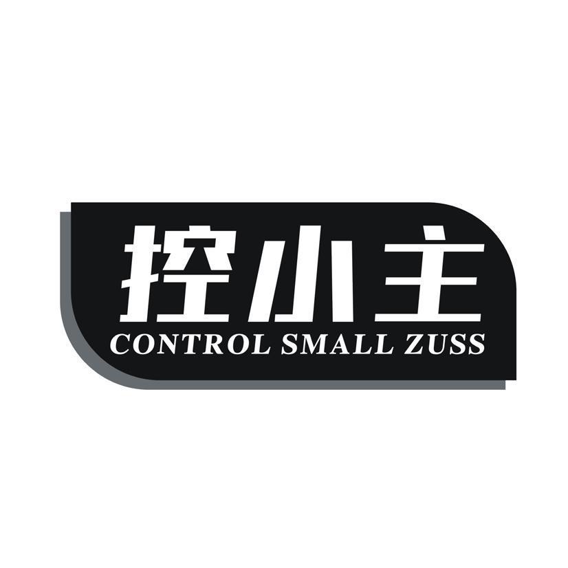 控小主 CONTROL SMALL ZUSS