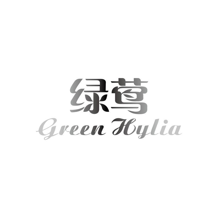 绿莺  GREEN HYLIA