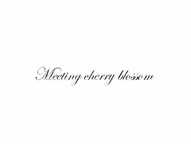 MEETING CHERRY BLOSSOM