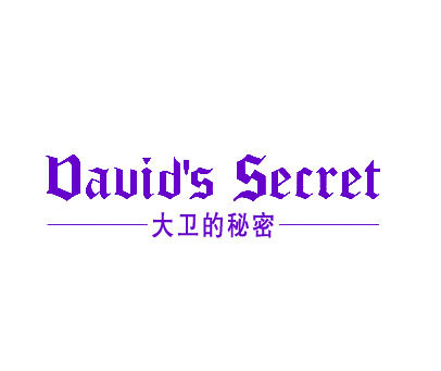 大卫的秘密 DAVIDS SECRET