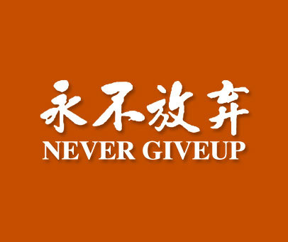 永不放弃 NEVER GIVE UP