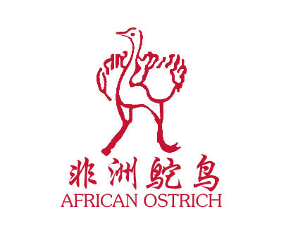 非洲鸵鸟 AFRICAN OSTRICH