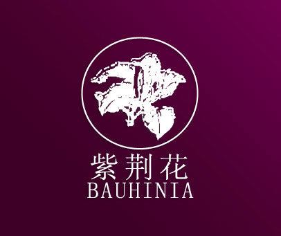 紫荆花-BAUHINIA