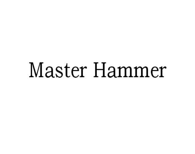 MASTER HAMMER