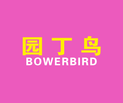 园丁鸟 BOWERBIRD