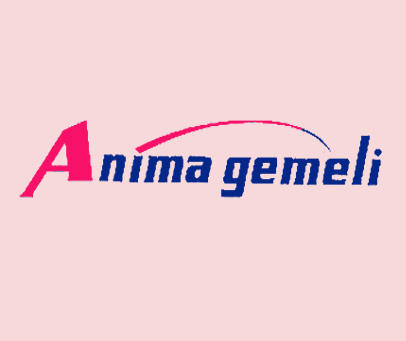 ANIMA GEMELI
