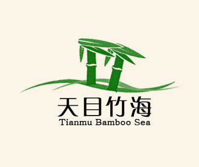 天目竹海 TIANMU BAMBOO SEA