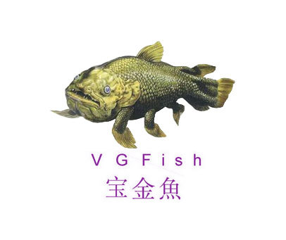 宝金鱼 VGFISH
