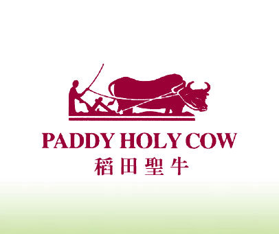 稻田圣牛 PADDY HOLY COW