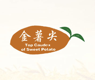 金薯尖;TOP CAUDEX OF SWEEL POTATO