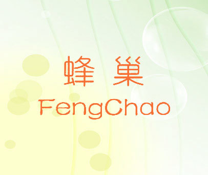 蜂巢;FENG CHAO
