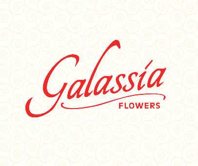 GALASSIA FLOWERS