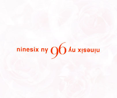 NINESIX NY 9