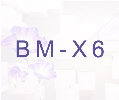 BM-X6