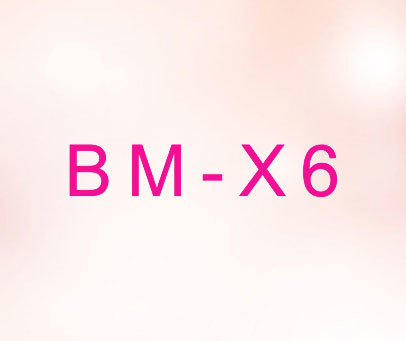 BM-X 6