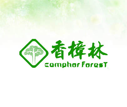 香樟林 CAMPHOR FOREST