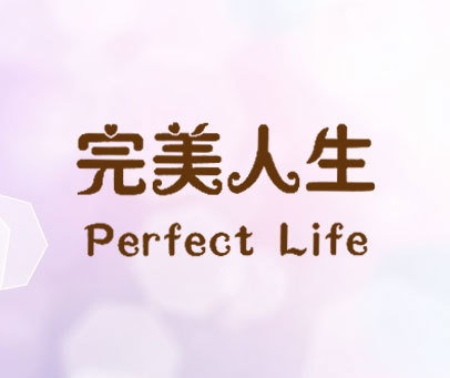 完美人生 PERFECT LIFE