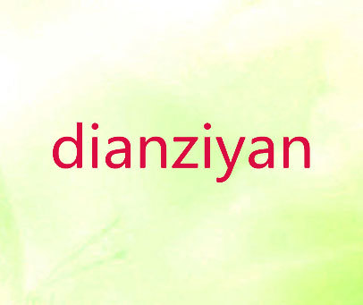 DIANZIYAN