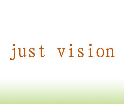 JUST VISION