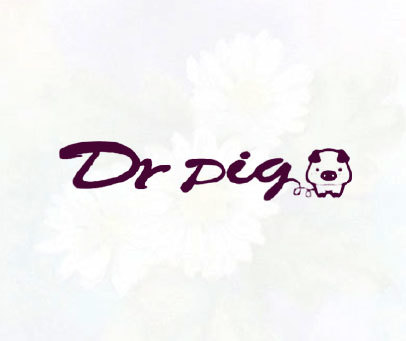 DR PIG