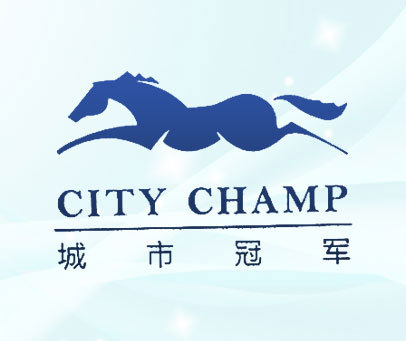城市冠军 CITY CHAMP