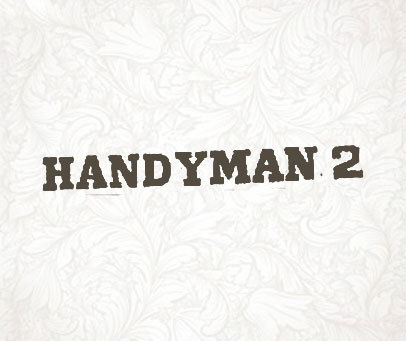 HANDYMAN 2