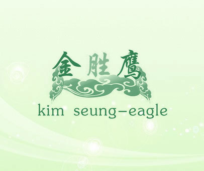 金胜鹰 KIM SEUNG-EAGLE