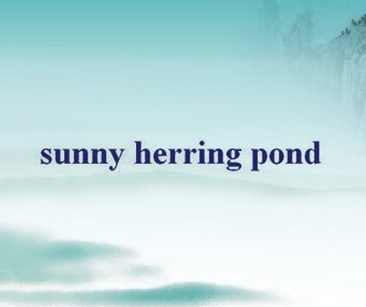 SUNNY HERRING POND