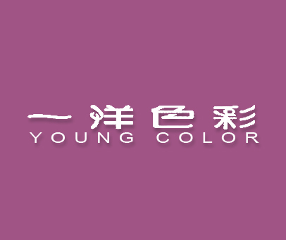 一洋色彩;YOUNG COLOR