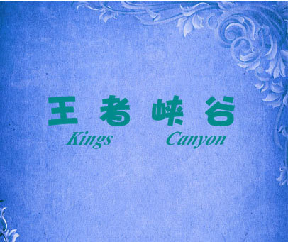 王者峡谷 KINGS CANYON