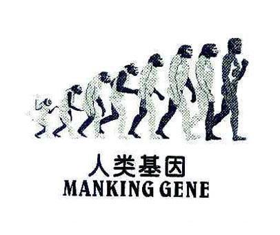 人类基因;MANKING GENE