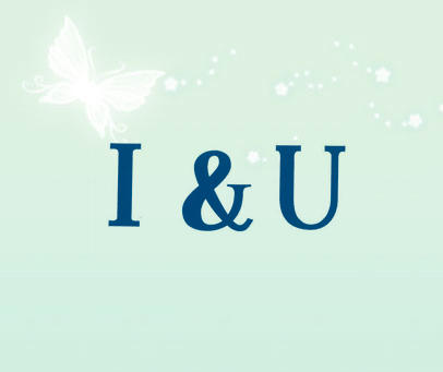 I&U