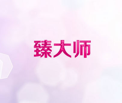 臻大师