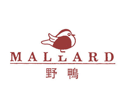 野鸭;MALLARD