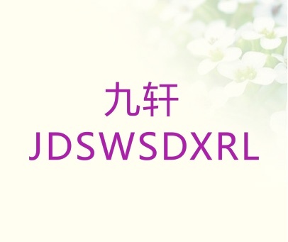 九轩 JDSWSDXRL