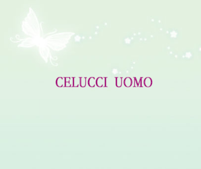 CELUCCI  UOMO