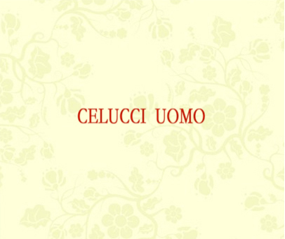 CELUCCI UOMO