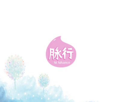 脉行 M ADVANCE