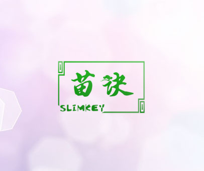 苗诀 SLIMKEY