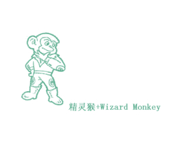 精灵猴 WIZARD MONKEY