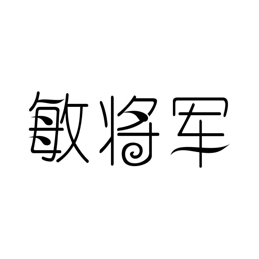 敏将军