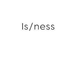 IS/NESS