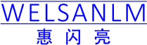 惠闪亮 WELSANLM